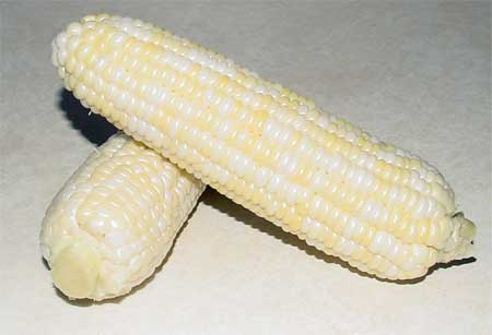 03_cleaned_corn.jpg