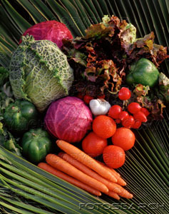 What Exactly Are Anti-Oxidants? And What Do They Do For You?