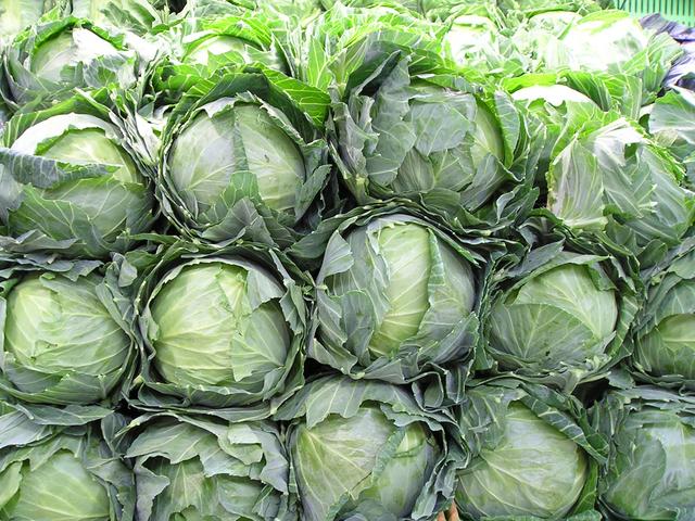 The ‘Dish’ On The New Cabbage Soup Diet Recipe.