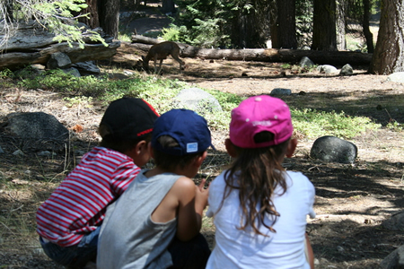 What You Should Know About Overweight Kids.