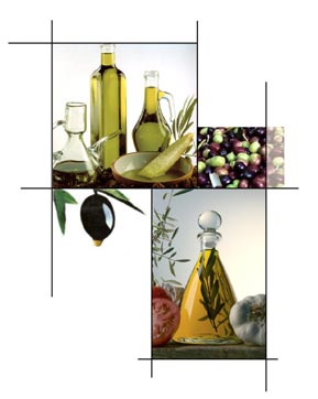 The Newest News in Nutrition - Olive Oil