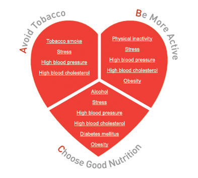 What Can Be Done To Prevent Angina