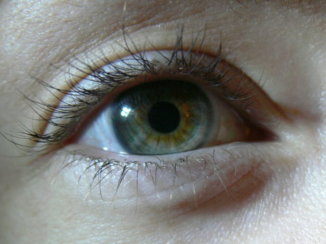 Do Anti-Oxidants Prevent Loss Of Eye Sight