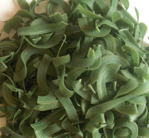 The Facts About Spirulina