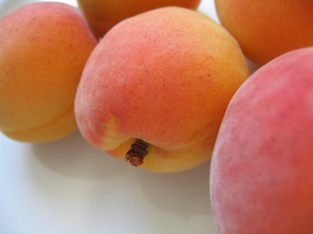 Nutritious Delicious Apricots