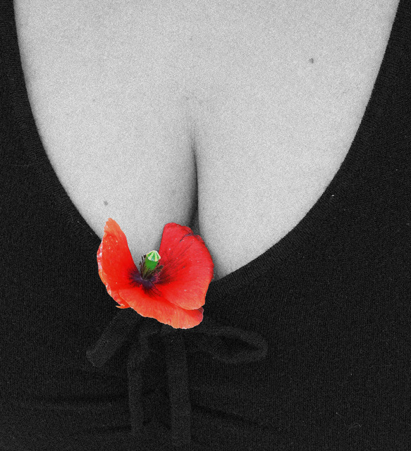 Is Nutrition Linked To Breast Cancer