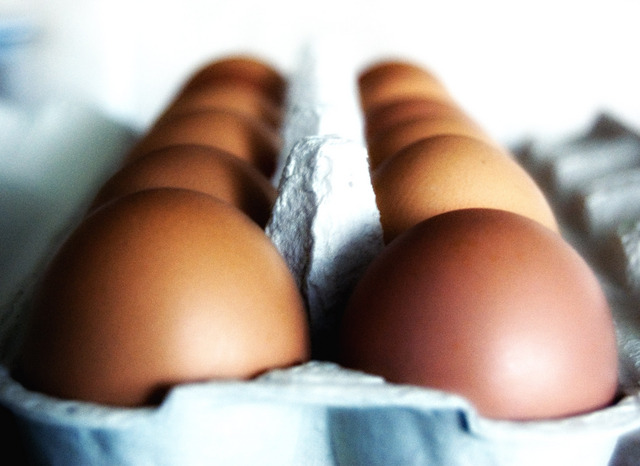 Nutrition Basics Of Protein