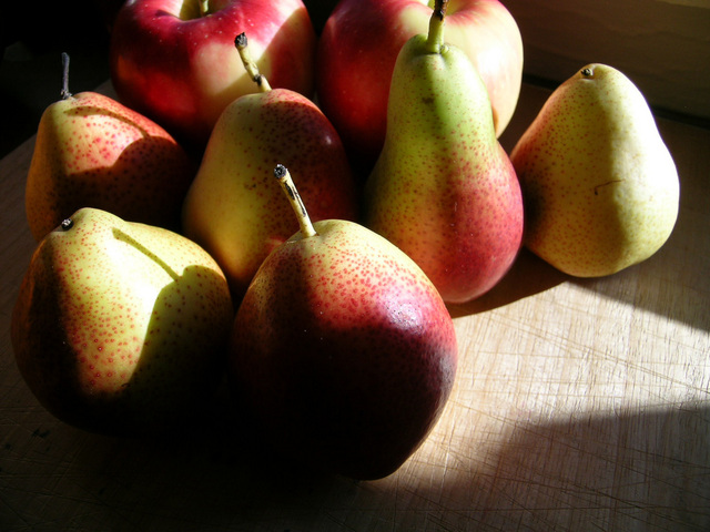 How Does Our Body Use Food For Nutrients